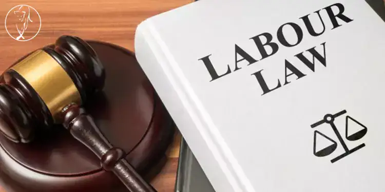 قانون کار به زبان انگلیسی | The Labour Law of Islamic Republic of Iran