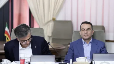 طرح آموزش و تربیت مدیران آینده جراحی اساسی در تشكیلات كلان دولت نقش کلیدی مشاوران مدیریت علاءالدین رفیع زاده رییس سازمان اداری و استخدامی کشور