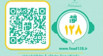 سامانه فواد ۱۲۸ عملکرد بوروکرات های سطح خیابان را در نظر دارد