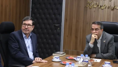 جنبه‌های کارشناسی لایحه اصلاح ماده ۱۰۶ قانون مدیریت