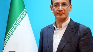 حمیدرضا احمدیان معاون حکمرانی الکترو