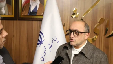 سلمانی: پرداخت های خارج از حکم کارگزینی بر اساس عملکرد پرداخت می شود 4 پرداخت های خارج از حکم کارگزینی