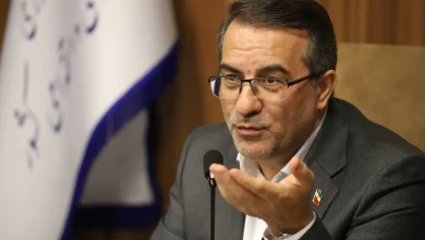 رفیع زاده: لزوم استفاده از ظرفیت حداقل دو روز دورکاری در هفته برای کارکنان در مصوبه دورکاری 3 تأکید رییس جمهور بر بازنگری حقوق حداقل دو روز دورکاری در هفته
